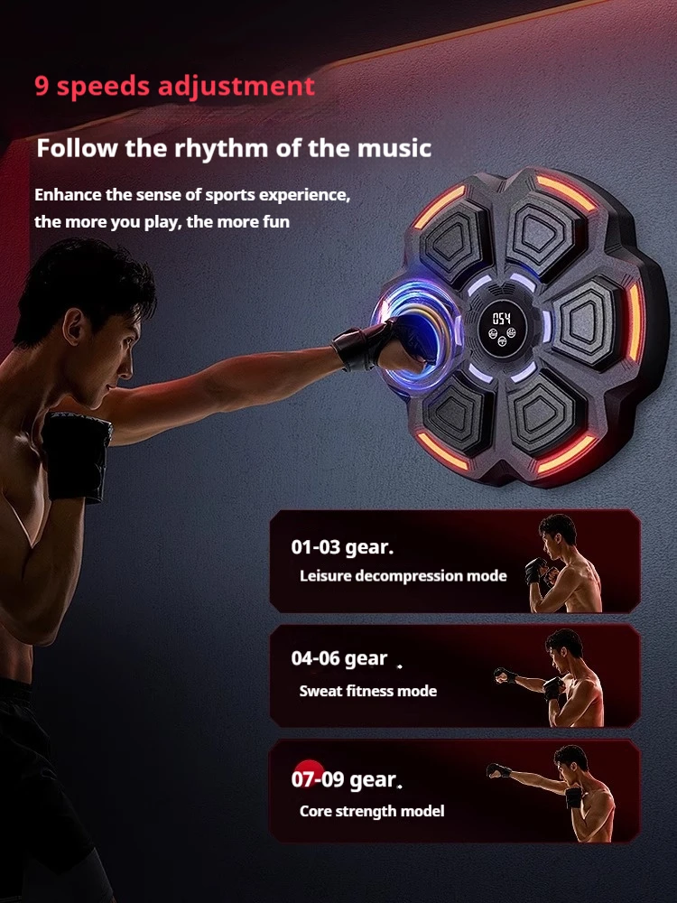 هدف ملاكمة ذكي قابل للتعديل عل - مراجعة Home Gym Wall Mounted وسعره
